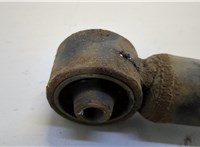  Амортизатор подвески Volkswagen Lupo 20466038 #4