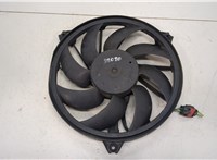  Вентилятор радиатора Peugeot 206 20466258 #1