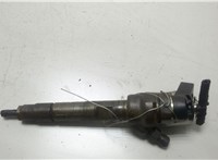 13538506902 Форсунка топливная Mini Cooper (R56/R57) 2006-2013 20466301 #1
