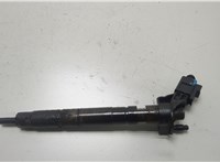  Форсунка топливная Audi A6 (C6) 2004-2011 20466394 #1
