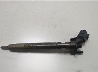  Форсунка топливная Audi A6 (C6) 2004-2011 20466395 #1