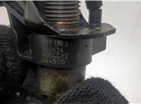 Форсунка топливная Audi A6 (C6) 2004-2011 20466399 #2