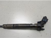  Форсунка топливная Audi A6 (C6) 2004-2011 20466400 #1