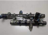  Рампа (рейка) топливная Audi A6 (C6) 2004-2011 20466402 #1