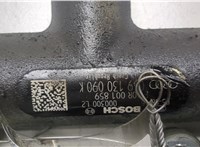  Рампа (рейка) топливная Audi A6 (C6) 2004-2011 20466402 #2