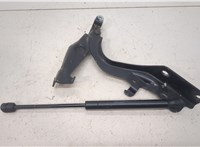  Петля капота Infiniti EX35 20466652 #2