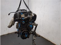 1145276, 2S413A696AA Насос гидроусилителя руля (ГУР) Ford Focus 1 1998-2004 11429997 #2