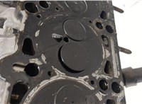  Головка блока (ГБЦ) Volkswagen Touareg 2002-2007 20467951 #11