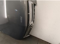 95493908 Капот Opel Antara 20468485 #3