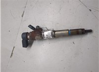 166008052R, 8200704191 Форсунка топливная Renault Megane 3 2009-2016 20469368 #1