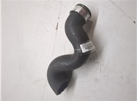 3B0145834N Патрубок интеркулера Volkswagen Passat 5 2000-2005 20469551 #1
