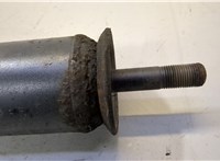 1696290 Амортизатор подвески DAF XF 105 2006-2013 20469565 #3