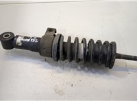  Пружина подвески Iveco EuroCargo 3 2015- 11431184 #1