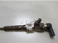  Форсунка топливная Renault Scenic 2009-2012 20469821 #1