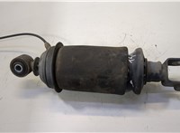 2493165 Пневмоподушка подвески кабины Scania 5-series R (2004 - 2016) 20469827 #1