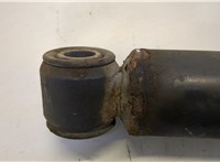 504120116 Амортизатор подвески Iveco EuroCargo 3 2015- 20469859 #3