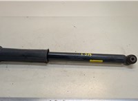 42547084 Амортизатор подвески Chevrolet Bolt 2016-2021 20470382 #1