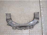 1775138020 Воздухозаборник Lexus LS460 2006-2012 20470496 #1