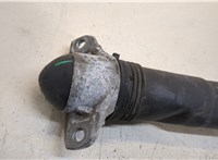 5QN513049AN Амортизатор подвески Volkswagen Tiguan 2016-2020 20470574 #2