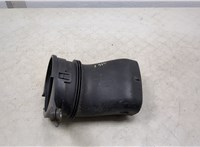 13717601870, 51750610AT, 70380593 Воздухозаборник BMW X3 F25 2010-2017 20470697 #1