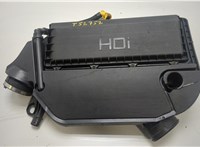 51886332 Корпус воздушного фильтра Peugeot Bipper 2009- 20470786 #1