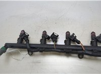  Форсунка топливная Renault Clio 1998-2008 20471443 #5
