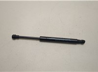  Амортизатор крышки багажника BMW X6 E71 2007-2014 20471774 #1