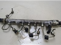  Рампа (рейка) топливная Skoda Fabia 2007-2014 20472060 #1