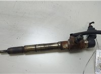  Форсунка топливная Skoda Fabia 2007-2014 20472063 #1
