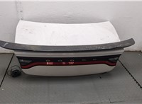  Крышка (дверь) багажника Dodge Charger 2014-2025 20472166 #1