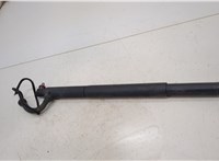  Амортизатор крышки багажника BMW X6 E71 2007-2014 20472286 #3