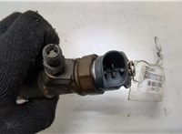 13537793836 Форсунка топливная BMW 3 E46 1998-2006 20472334 #2