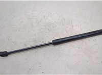  Амортизатор капота BMW X6 E71 2007-2014 20472640 #1