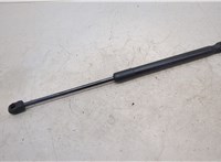  Амортизатор капота BMW X6 E71 2007-2014 20472642 #1
