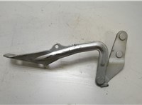1595455 Петля капота Ford Focus 2 2005-2008 20473213 #1