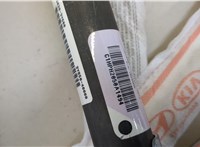 850203Y600 Подушка безопасности боковая (шторка) Hyundai Elantra 2010-2016 20473422 #3