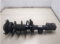  Амортизатор подвески Hyundai Elantra 2010-2016 20473491 #7