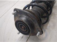 546613Y151, 546303X361 Амортизатор подвески Hyundai Elantra 2010-2016 20473495 #2