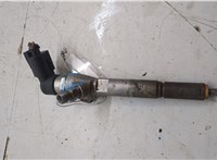 166009445R Форсунка топливная Renault Scenic 2009-2012 20473506 #6