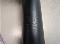  Амортизатор подвески Nissan Murano 2008-2015 20473550 #5
