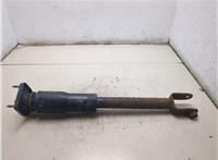 25884698 Амортизатор подвески Cadillac CTS 2007-2014 20473858 #1