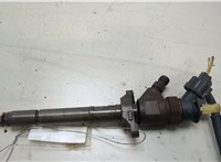  Форсунка топливная Citroen Berlingo 2008-2012 20473909 #1