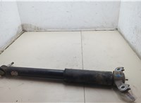 LB5C18W002AF Амортизатор подвески Ford Explorer 2019-2025 20474017 #11