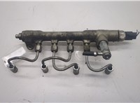  Рампа (рейка) топливная Opel Zafira B 2005-2012 20474077 #1