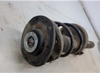  Амортизатор подвески Peugeot 206 20474086 #2