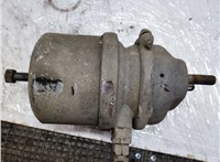 81504106866 Энергоаккумулятор Man TGX 2012-2016 20474288 #1