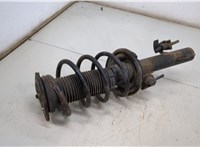  Амортизатор подвески Mazda 5 (CR) 2005-2010 20474461 #3
