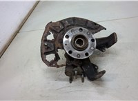  Ступица (кулак, цапфа) Volkswagen Golf 5 2003-2009 20474961 #1