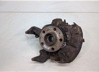  Ступица (кулак, цапфа) Seat Leon 1999-2006 20474994 #1