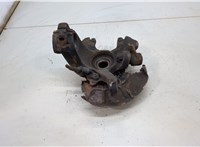  Ступица (кулак, цапфа) Seat Leon 1999-2006 20474994 #2